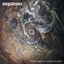 Transmission II: Jovian Echoes