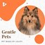 Gentle Pets