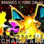 HOLOGRAPHIC CHARIZARD EP
