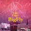 Life & Times of BigFly