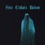 Beloved Specter - Single