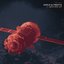 Moving Up - Single
