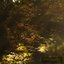 Sylvan