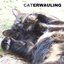 Caterwauling