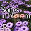 Songs In Bloom