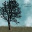 Jacob’s Ladder