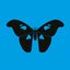 The Butterfly Effect LP