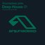 Anjunadeep Pres. Deep House 01