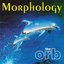 Morphology