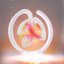 Blossom - Single