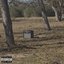 The Old Radio