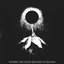 Where The Light Refuses To Bloom