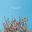 Flowers (Carry Me Home)