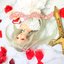 Royal Rose