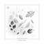 fallen leaves