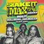 Shake It To The Max (FLY) (Remix)