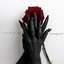 i wanna hold your hand