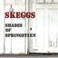 Shades of Springsteen