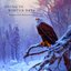 Dying in Winter Days