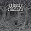 Tree of Woe