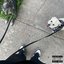 Kyotto! - Single