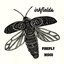 Firefly Disco - Single