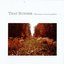 Drowsiness Of Ancient Gardens