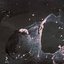 Overgrowth - Single