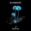 Mycena Media - Illuminate