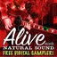 Alive Records 2009 Sampler