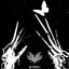 Immortal - Single