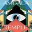 Avenue Amgala (feat. Amund Maarud, Gard Nilssen & Lars Horntveth) - Single