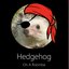 Hedgehog on a Roomba - Single