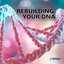 Rebuilding Your Dna