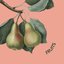 Fruits