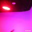 Toaster - Single