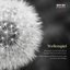 "Wellenspiel" : Piano Evocations from the Golden Age