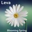 Blooming Spring - Single