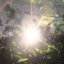 The Din of Light