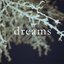 Dreams III