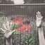Crushing The Campsies - Single