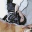 極致動物