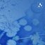 Tlaloc's Downpour (Rain) - Single