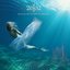 Across an Ocean of Dreams