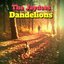 Dandelions