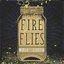 Fireflies - Single
