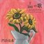 100分の1（1/100）の歌～あんただけのベストアルバム～