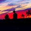 U Feel Like Summer (Demo) - Single