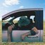 TRUCK - Single