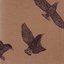 Murmurations
